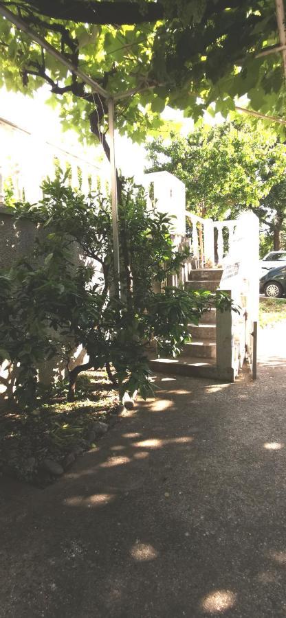 Sobe I Apartmani Marovic Petrovac Luaran gambar